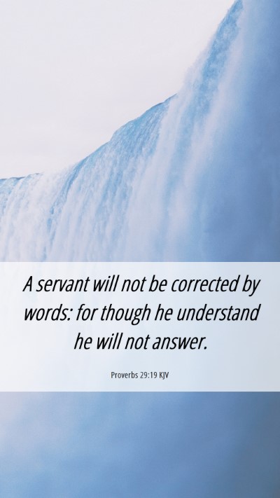 Picture 06 - Proverbs 29:19 KJV Mobile Phone Wallpaper - A servant will not be corrected by words: for - Mobile Bible Verse Wallpaper