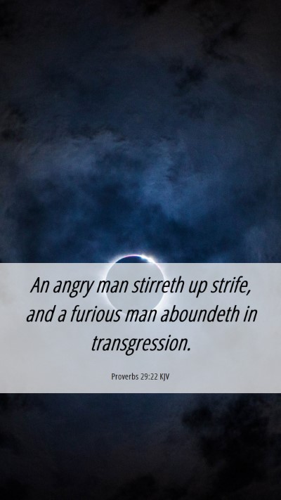 Picture 06 - Proverbs 29:22 KJV Mobile Phone Wallpaper - An angry man stirreth up strife, and a furious - Mobile Bible Verse Wallpaper