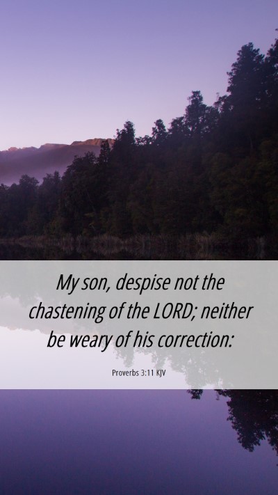 Picture 06 - Proverbs 3:11 KJV Mobile Phone Wallpaper - My son, despise not the chastening of the LORD; - Mobile Bible Verse Wallpaper