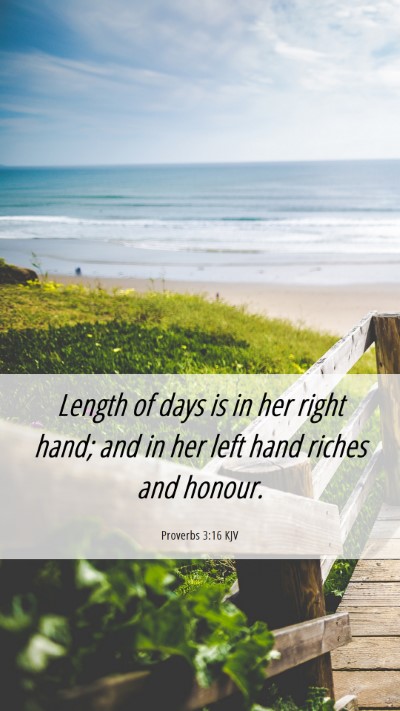 Picture 06 - Proverbs 3:16 KJV Mobile Phone Wallpaper - Length of days is in her right hand; and in her - Mobile Bible Verse Wallpaper