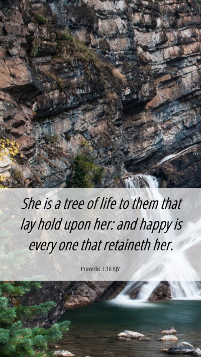 Picture 06 - Proverbs 3:18 KJV Mobile Phone Wallpaper - She is a tree of life to them that lay hold upon - Mobile Bible Verse Wallpaper