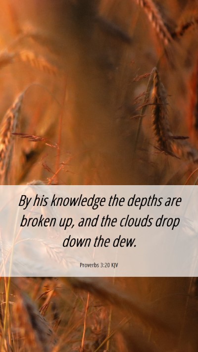 Picture 06 - Proverbs 3:20 KJV Mobile Phone Wallpaper - By his knowledge the depths are broken up, and - Mobile Bible Verse Wallpaper