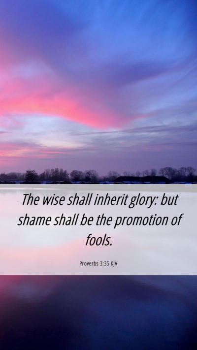 Picture 06 - Proverbs 3:35 KJV Mobile Phone Wallpaper - The wise shall inherit glory: but shame shall be - Mobile Bible Verse Wallpaper