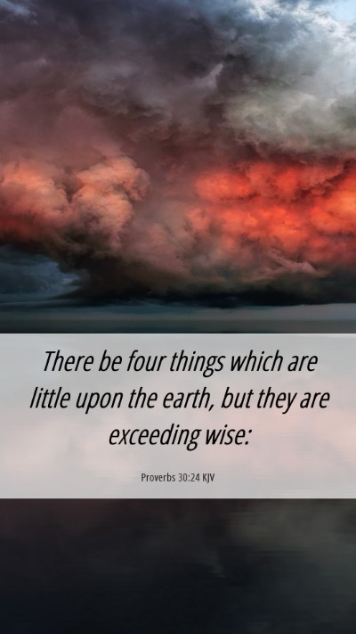 Picture 06 - Proverbs 30:24 KJV Mobile Phone Wallpaper - There be four things which are little upon the - Mobile Bible Verse Wallpaper