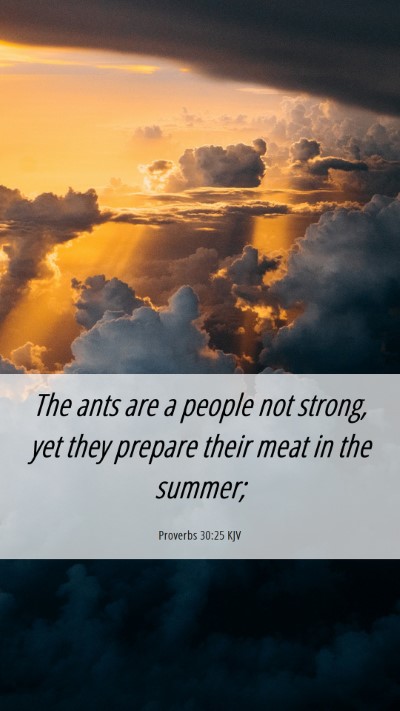 Picture 06 - Proverbs 30:25 KJV Mobile Phone Wallpaper - The ants are a people not strong, yet they - Mobile Bible Verse Wallpaper