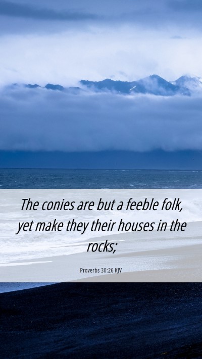 Picture 06 - Proverbs 30:26 KJV Mobile Phone Wallpaper - The conies are but a feeble folk, yet make they - Mobile Bible Verse Wallpaper