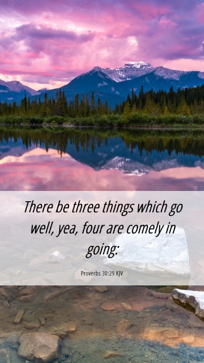 Picture 06 - Proverbs 30:29 KJV Mobile Phone Wallpaper - There be three things which go well, yea, four - Mobile Bible Verse Wallpaper