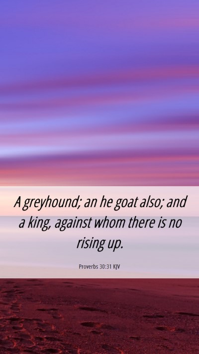 Picture 06 - Proverbs 30:31 KJV Mobile Phone Wallpaper - A greyhound; an he goat also; and a king, against - Mobile Bible Verse Wallpaper