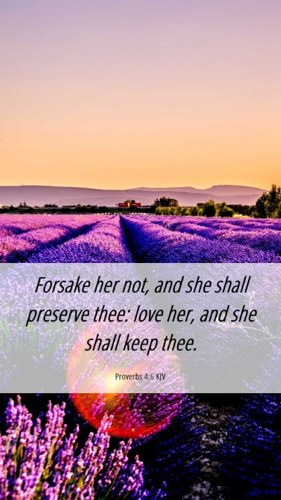Picture 06 - Proverbs 4:6 KJV Mobile Phone Wallpaper - Forsake her not, and she shall preserve thee: - Mobile Bible Verse Wallpaper