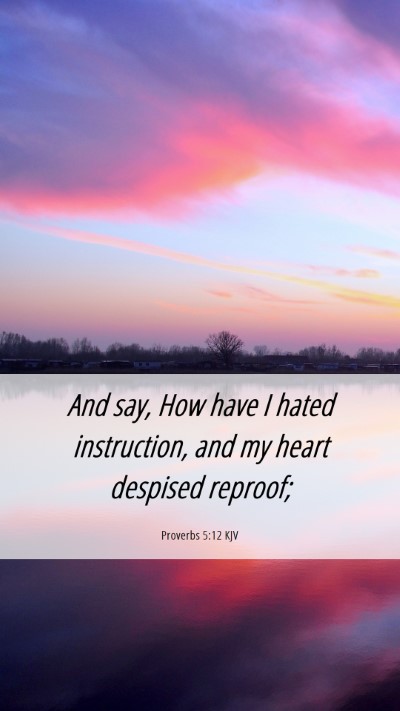Picture 06 - Proverbs 5:12 KJV Mobile Phone Wallpaper - And say, How have I hated instruction, and my - Mobile Bible Verse Wallpaper