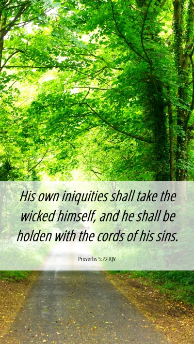 Picture 06 - Proverbs 5:22 KJV Mobile Phone Wallpaper - His own iniquities shall take the wicked himself, - Mobile Bible Verse Wallpaper