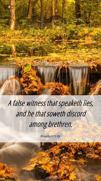 Picture 06 - Proverbs 6:19 KJV Mobile Phone Wallpaper - A false witness that speaketh lies, and he that - Mobile Bible Verse Wallpaper