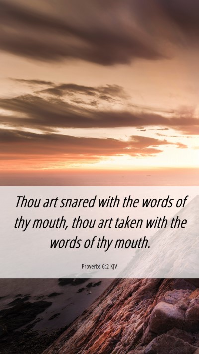 Picture 06 - Proverbs 6:2 KJV Mobile Phone Wallpaper - Thou art snared with the words of thy mouth, thou - Mobile Bible Verse Wallpaper
