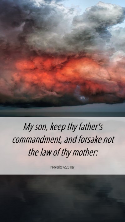 Picture 06 - Proverbs 6:20 KJV Mobile Phone Wallpaper - My son, keep thy father's commandment, and - Mobile Bible Verse Wallpaper