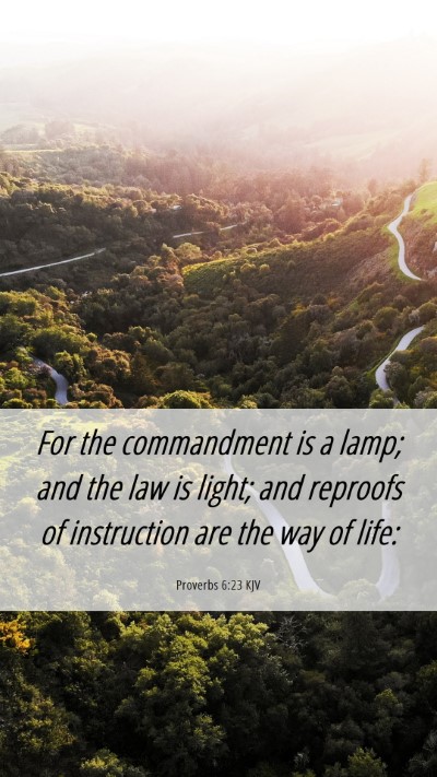 Picture 06 - Proverbs 6:23 KJV Mobile Phone Wallpaper - For the commandment is a lamp; and the law is - Mobile Bible Verse Wallpaper