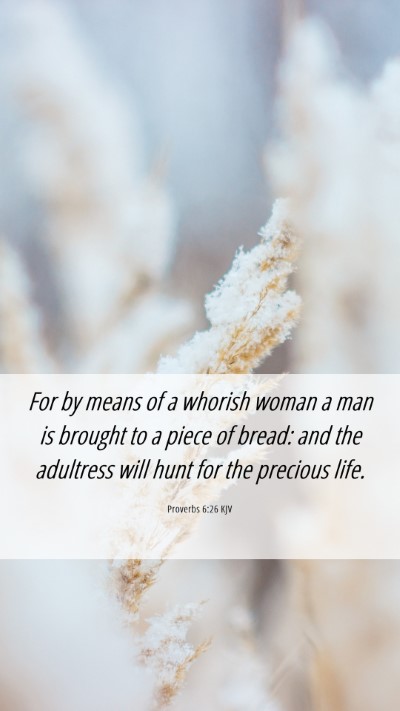 Picture 06 - Proverbs 6:26 KJV Mobile Phone Wallpaper - For by means of a whorish woman a man is brought - Mobile Bible Verse Wallpaper
