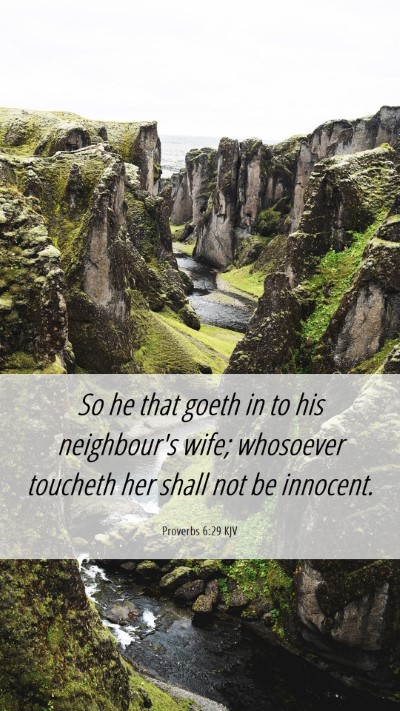 Picture 06 - Proverbs 6:29 KJV Mobile Phone Wallpaper - So he that goeth in to his neighbour's wife; - Mobile Bible Verse Wallpaper
