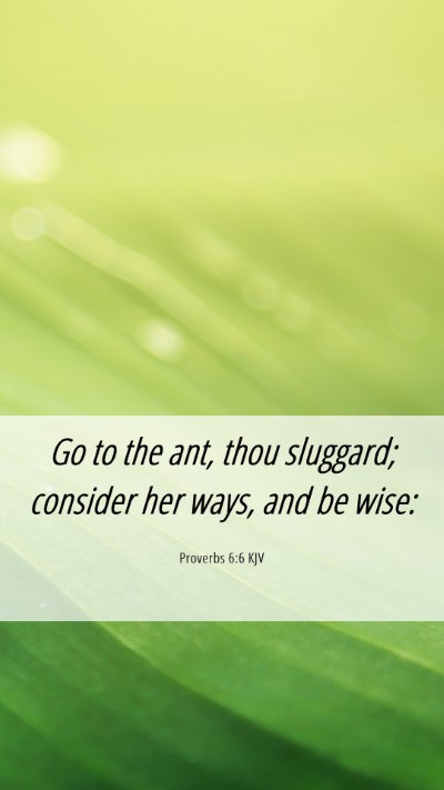 Picture 06 - Proverbs 6:6 KJV Mobile Phone Wallpaper - Go to the ant, thou sluggard; consider her ways, - Mobile Bible Verse Wallpaper