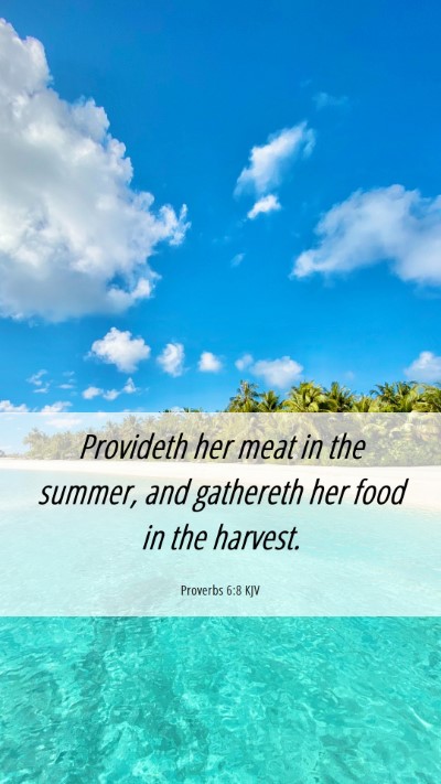 Picture 06 - Proverbs 6:8 KJV Mobile Phone Wallpaper - Provideth her meat in the summer, and gathereth - Mobile Bible Verse Wallpaper