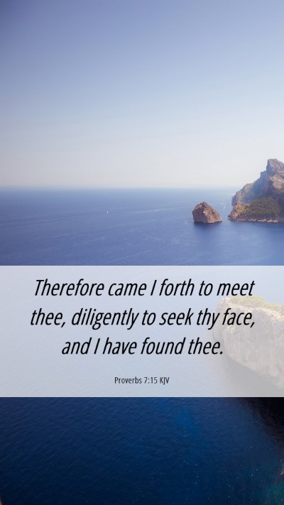 Picture 06 - Proverbs 7:15 KJV Mobile Phone Wallpaper - Therefore came I forth to meet thee, diligently - Mobile Bible Verse Wallpaper
