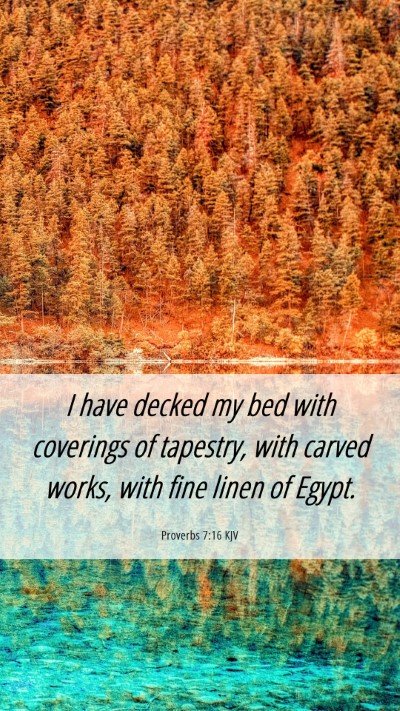 Picture 06 - Proverbs 7:16 KJV Mobile Phone Wallpaper - I have decked my bed with coverings of tapestry, - Mobile Bible Verse Wallpaper