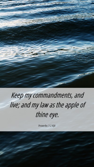 Picture 06 - Proverbs 7:2 KJV Mobile Phone Wallpaper - Keep my commandments, and live; and my law as the - Mobile Bible Verse Wallpaper