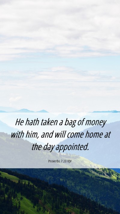 Picture 06 - Proverbs 7:20 KJV Mobile Phone Wallpaper - He hath taken a bag of money with him, and will - Mobile Bible Verse Wallpaper
