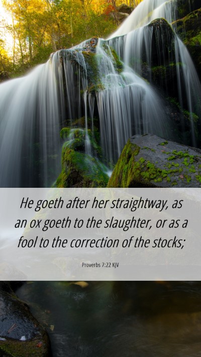 Picture 06 - Proverbs 7:22 KJV Mobile Phone Wallpaper - He goeth after her straightway, as an ox goeth to - Mobile Bible Verse Wallpaper