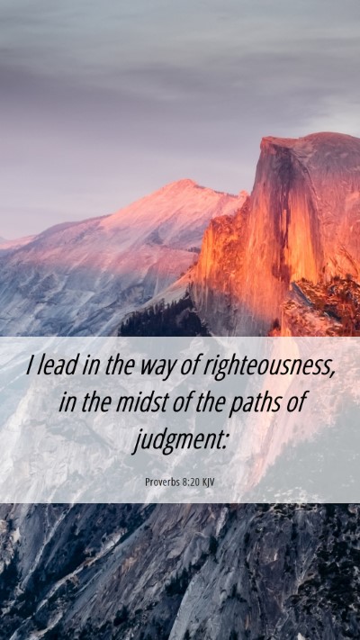 Picture 06 - Proverbs 8:20 KJV Mobile Phone Wallpaper - I lead in the way of righteousness, in the midst - Mobile Bible Verse Wallpaper