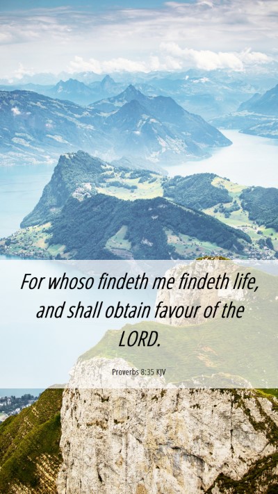 Picture 06 - Proverbs 8:35 KJV Mobile Phone Wallpaper - For whoso findeth me findeth life, and shall - Mobile Bible Verse Wallpaper