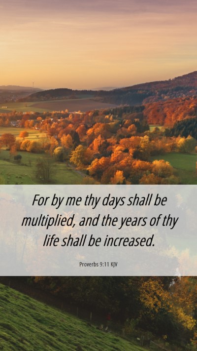 Picture 06 - Proverbs 9:11 KJV Mobile Phone Wallpaper - For by me thy days shall be multiplied, and the - Mobile Bible Verse Wallpaper