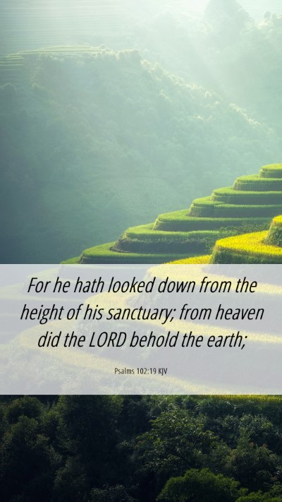 Picture 06 - Psalms 102:19 KJV Mobile Phone Wallpaper - For he hath looked down from the height of his - Mobile Bible Verse Wallpaper