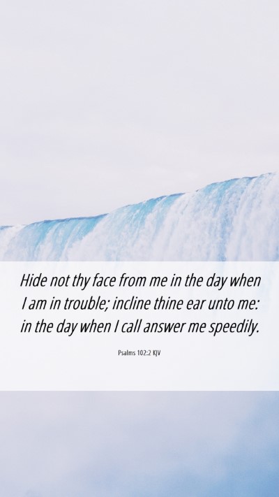 Picture 06 - Psalms 102:2 KJV Mobile Phone Wallpaper - Hide not thy face from me in the day when I am in - Mobile Bible Verse Wallpaper