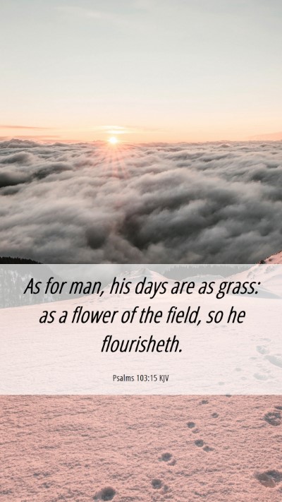 Picture 06 - Psalms 103:15 KJV Mobile Phone Wallpaper - As for man, his days are as grass: as a flower of - Mobile Bible Verse Wallpaper
