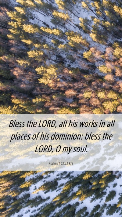 Picture 06 - Psalms 103:22 KJV Mobile Phone Wallpaper - Bless the LORD, all his works in all places of - Mobile Bible Verse Wallpaper