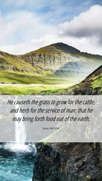 Picture 06 - Psalms 104:14 KJV Mobile Phone Wallpaper - He causeth the grass to grow for the cattle, and - Mobile Bible Verse Wallpaper