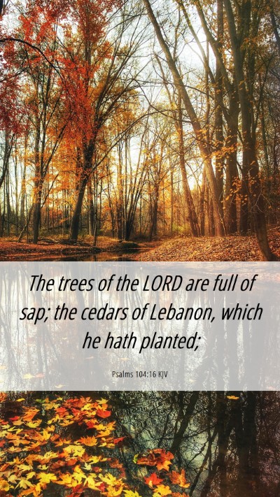 Picture 06 - Psalms 104:16 KJV Mobile Phone Wallpaper - The trees of the LORD are full of sap; the cedars - Mobile Bible Verse Wallpaper