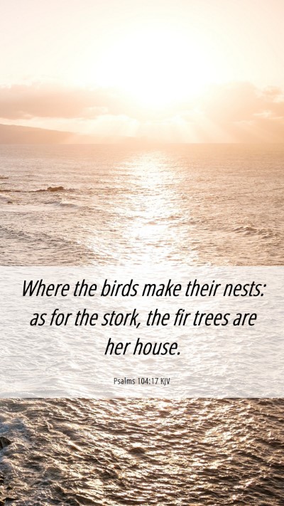 Picture 06 - Psalms 104:17 KJV Mobile Phone Wallpaper - Where the birds make their nests: as for the - Mobile Bible Verse Wallpaper