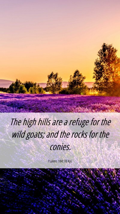 Picture 06 - Psalms 104:18 KJV Mobile Phone Wallpaper - The high hills are a refuge for the wild goats; - Mobile Bible Verse Wallpaper