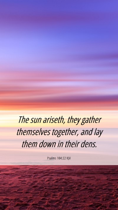 Picture 06 - Psalms 104:22 KJV Mobile Phone Wallpaper - The sun ariseth, they gather themselves together, - Mobile Bible Verse Wallpaper