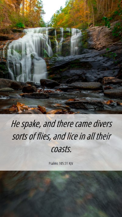 Picture 06 - Psalms 105:31 KJV Mobile Phone Wallpaper - He spake, and there came divers sorts of flies, - Mobile Bible Verse Wallpaper