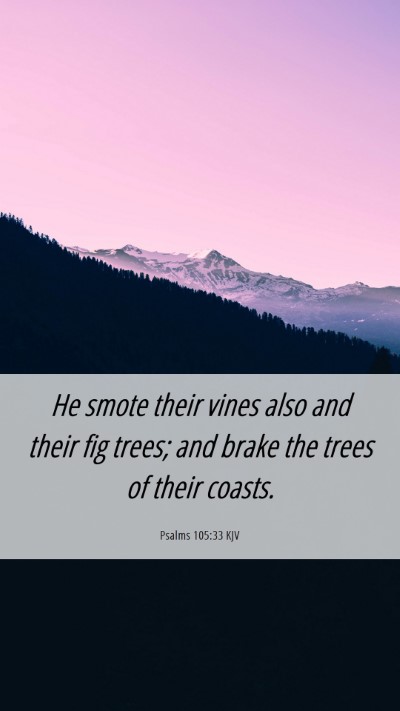 Picture 06 - Psalms 105:33 KJV Mobile Phone Wallpaper - He smote their vines also and their fig trees; - Mobile Bible Verse Wallpaper