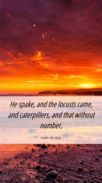 Picture 06 - Psalms 105:34 KJV Mobile Phone Wallpaper - He spake, and the locusts came, and caterpillers, - Mobile Bible Verse Wallpaper