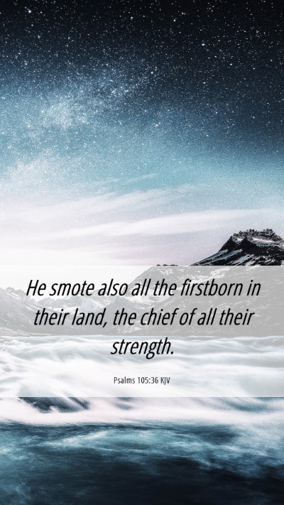 Picture 06 - Psalms 105:36 KJV Mobile Phone Wallpaper - He smote also all the firstborn in their land, - Mobile Bible Verse Wallpaper