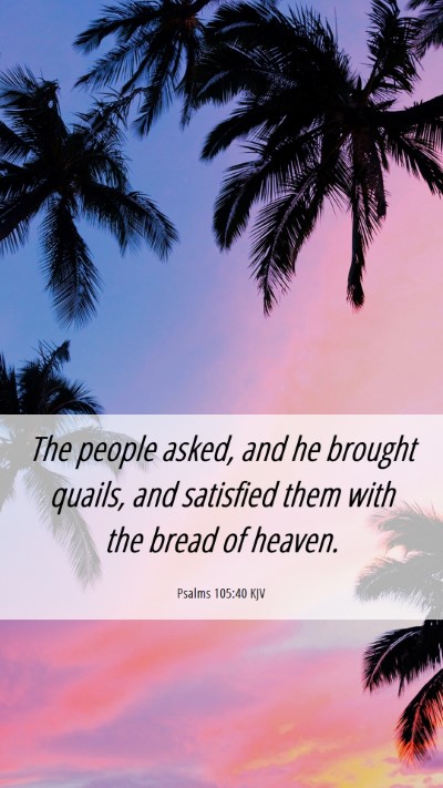Picture 06 - Psalms 105:40 KJV Mobile Phone Wallpaper - The people asked, and he brought quails, and - Mobile Bible Verse Wallpaper