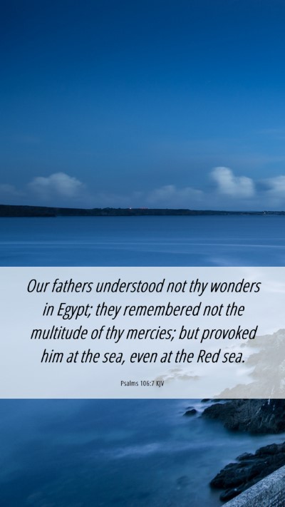 Picture 06 - Psalms 106:7 KJV Mobile Phone Wallpaper - Our fathers understood not thy wonders in Egypt; - Mobile Bible Verse Wallpaper