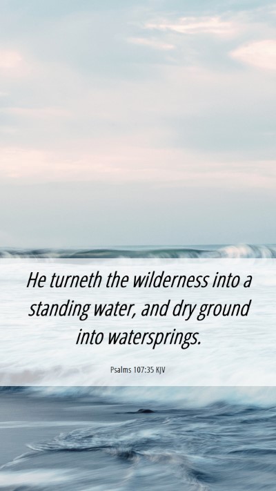 Picture 06 - Psalms 107:35 KJV Mobile Phone Wallpaper - He turneth the wilderness into a standing water, - Mobile Bible Verse Wallpaper
