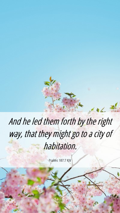 Picture 06 - Psalms 107:7 KJV Mobile Phone Wallpaper - And he led them forth by the right way, that they - Mobile Bible Verse Wallpaper