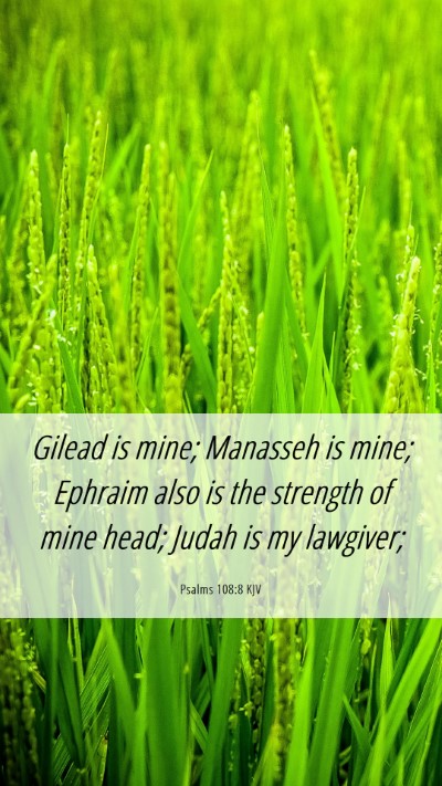 Picture 06 - Psalms 108:8 KJV Mobile Phone Wallpaper - Gilead is mine; Manasseh is mine; Ephraim also is - Mobile Bible Verse Wallpaper