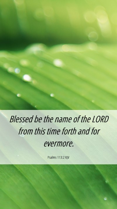 Picture 06 - Psalms 113:2 KJV Mobile Phone Wallpaper - Blessed be the name of the LORD from this time - Mobile Bible Verse Wallpaper